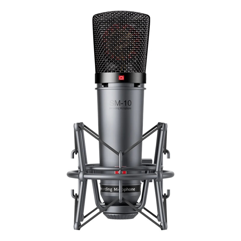 Takstar SM-10 Professional Recording Microphone