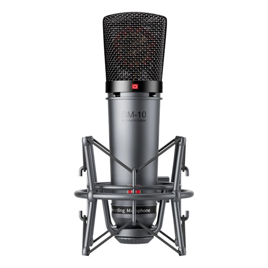 Takstar SM-10 Professional Recording Microphone