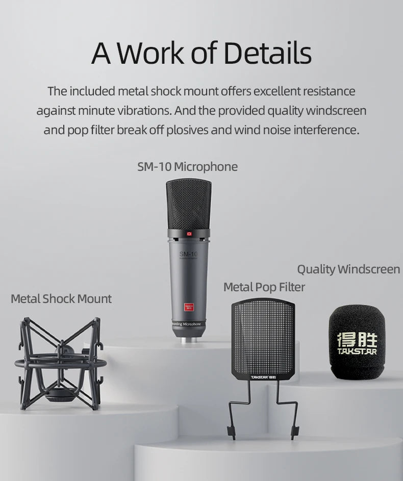 Takstar SM-10 Professional Recording Microphone