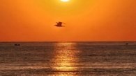 Original Piano Compositions 2025