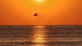 Original Piano Compositions 2025