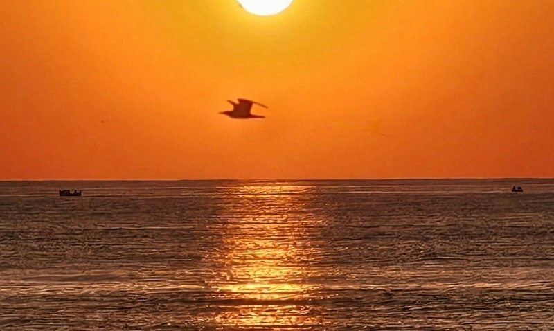 Original Piano Compositions 2025